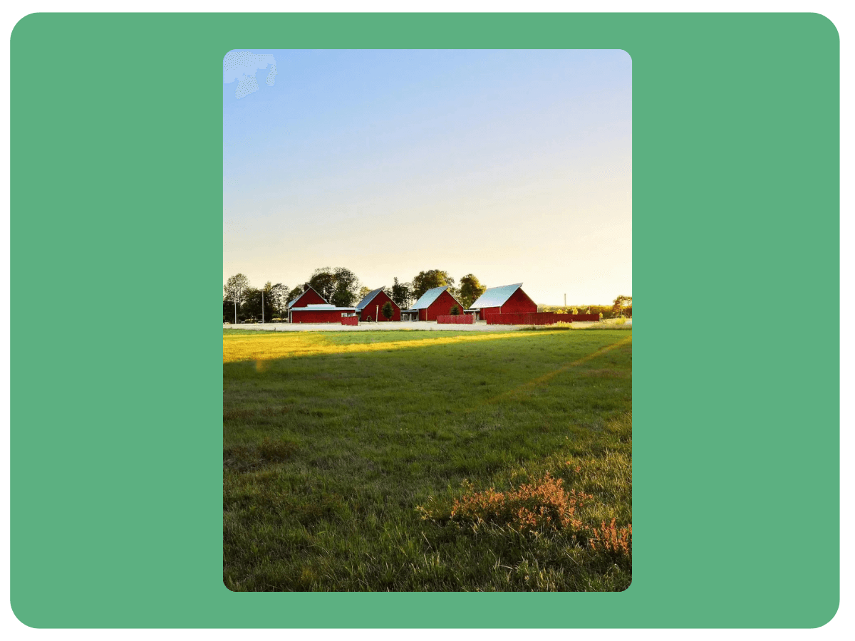 Etheric Networks Ag Tech Solutions (1) (1) Etheric Networks Ag Tech Solutions